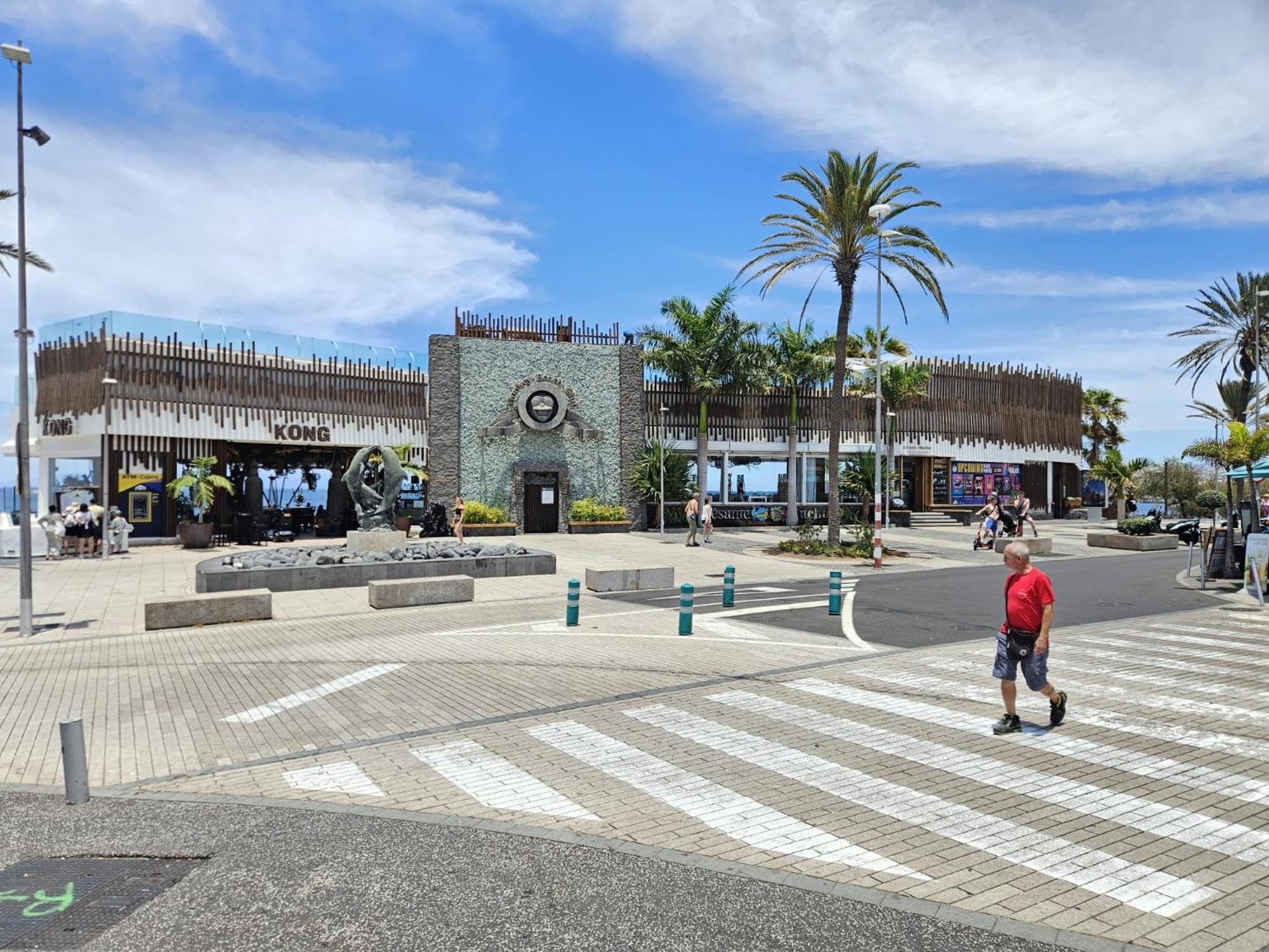 Apto Vera Cruz Playa Las Americas Playa de las Americas  Esterno foto